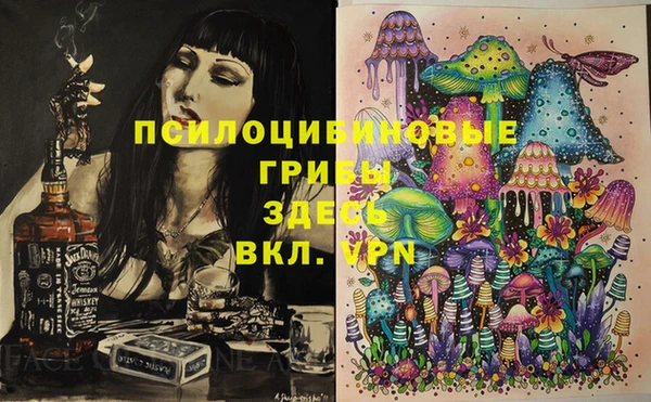 бошки Снежинск