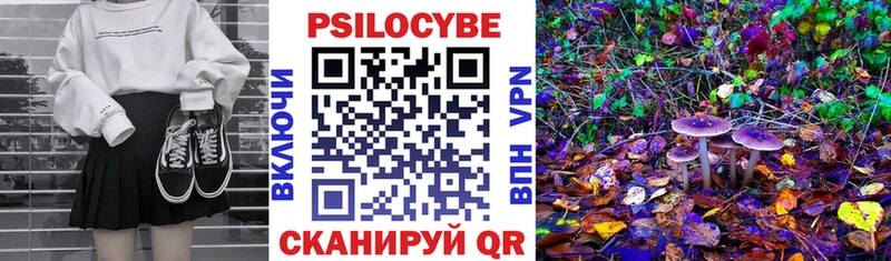 Псилоцибиновые грибы ЛСД  Волгореченск 
