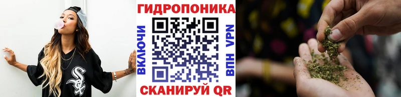 купить наркоту  Волгореченск  Бошки Шишки план 